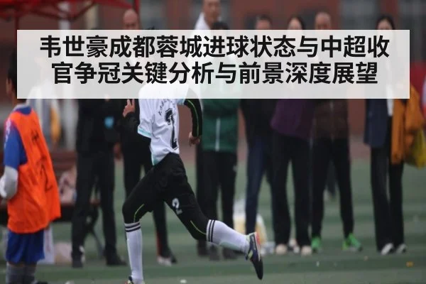 韦世豪成都蓉城进球状态与中超收官争冠关键分析与前景深度展望 - XC SPORTS